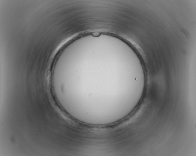 X0000115650933200911101113