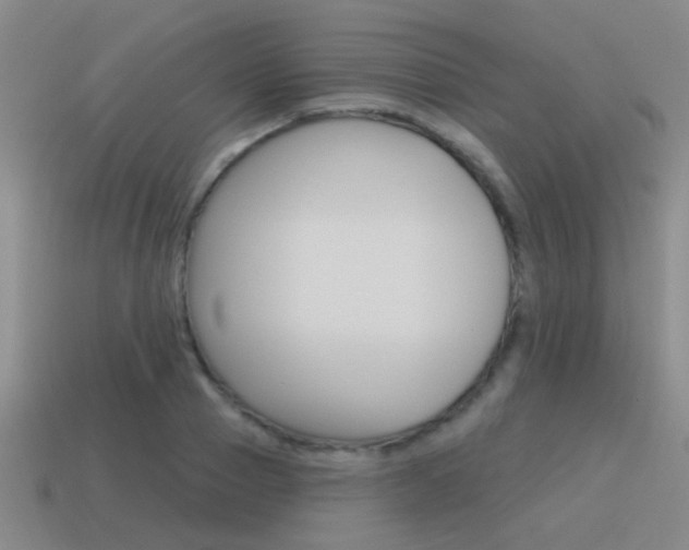 X0000115650937200911101113