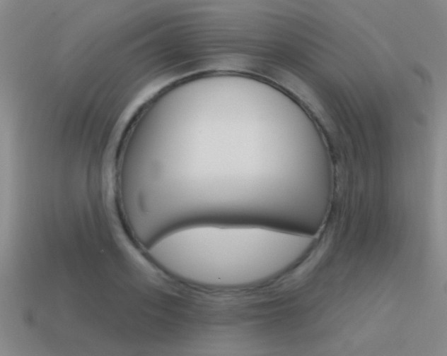 X0000115650939200911101113