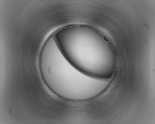 X0000115650942200911101113