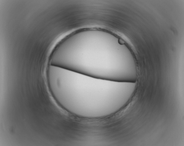 X0000115650943200911101113