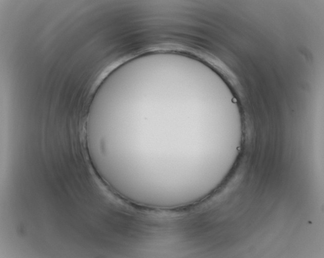 X0000115650945200911101113