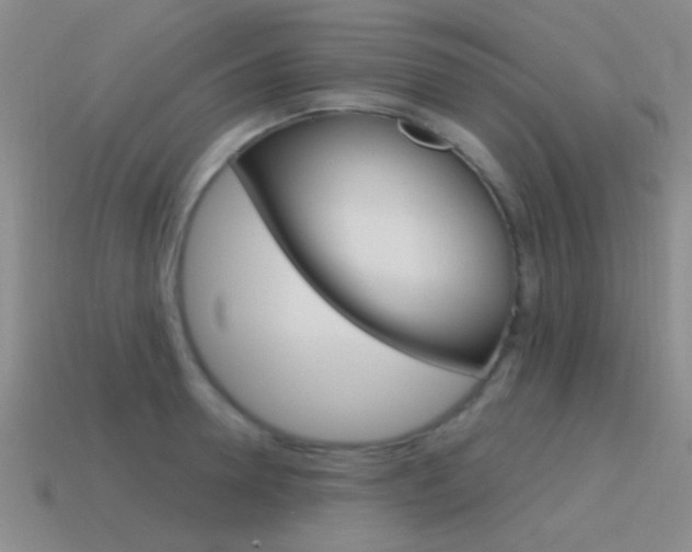 X0000115650946200911101113