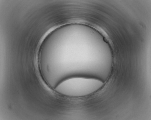 X0000115650947200911101113
