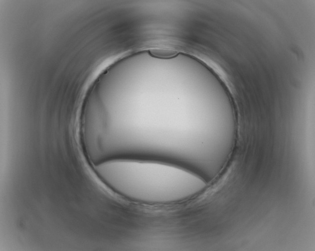 X0000115650949200911101113