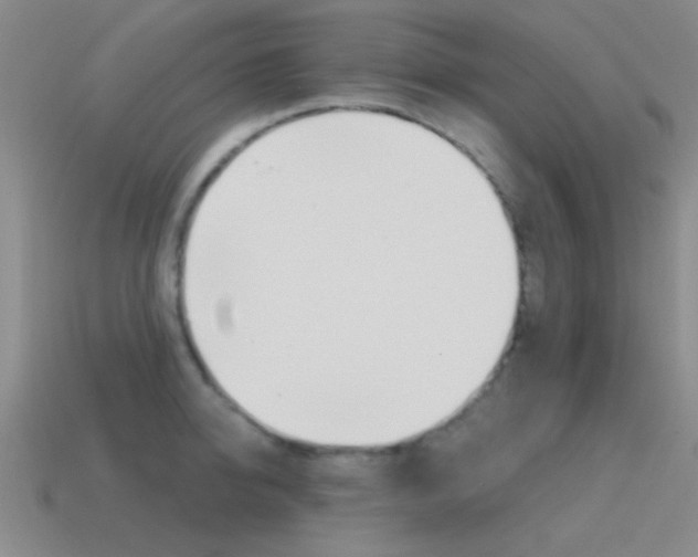 X0000115650950200911101113