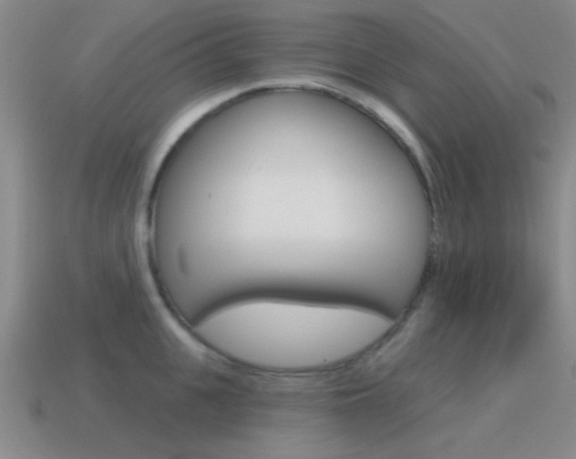X0000115650951200911101113