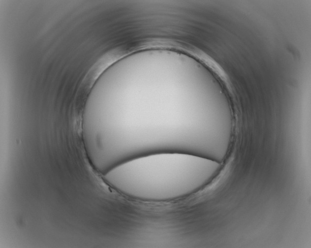 X0000115650953200911101114