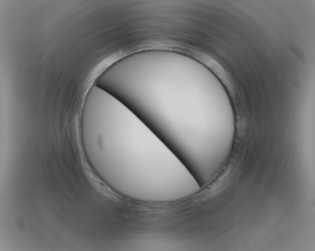 X0000115650954200911101114