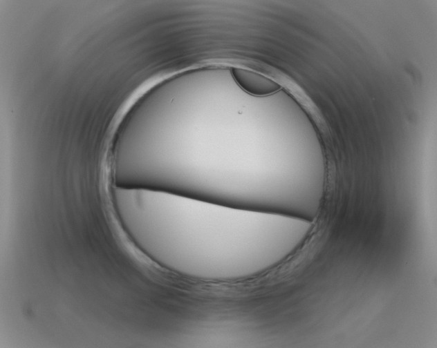 X0000115650955200911101114