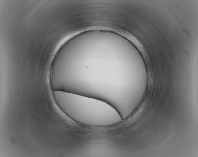 X0000115650958200911101114