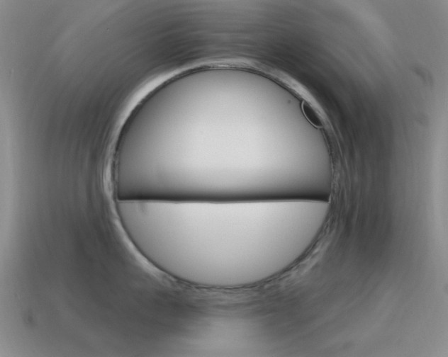 X0000115650959200911101114