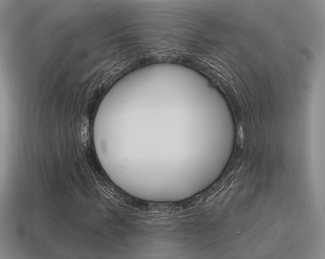 X0000115650963200911101113