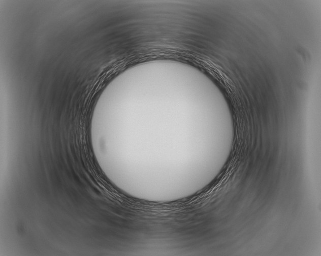 X0000115650964200911101113