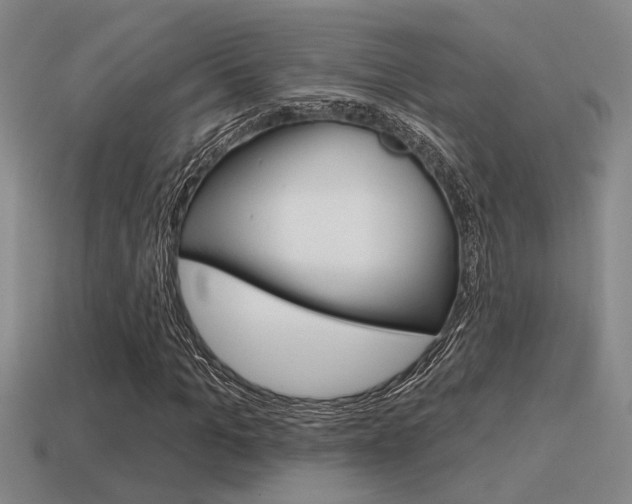 X0000115650965200911101113