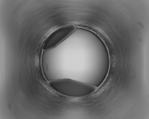 X0000115650969200911101113
