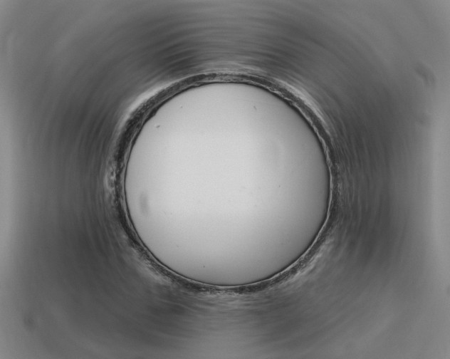 X0000115650971200911101113