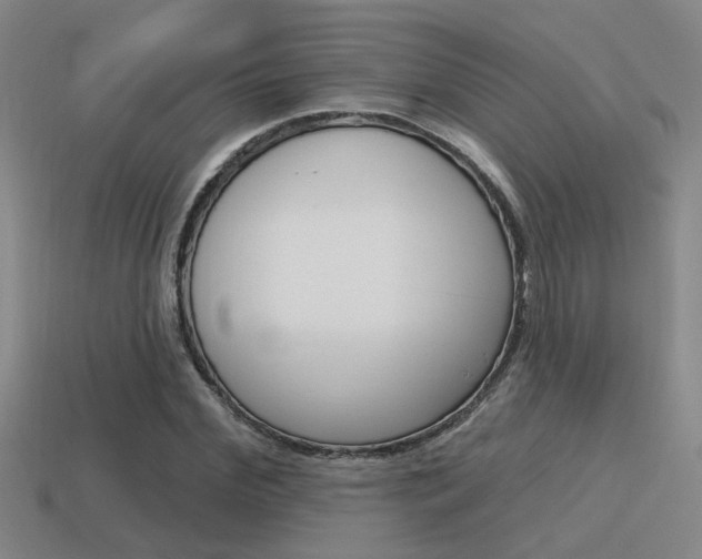 X0000115650972200911101113