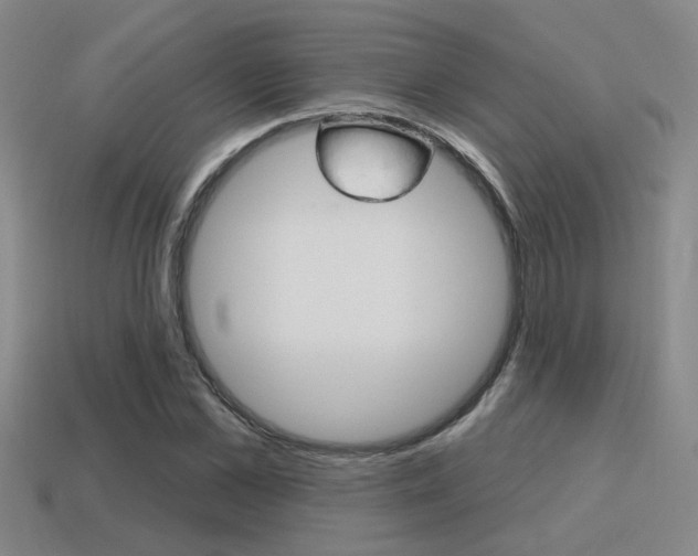 X0000115650973200911101113