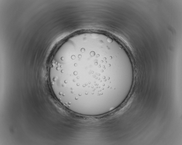 X0000115650974200911101113
