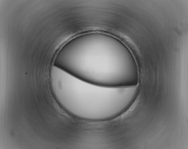 X0000115650977200911101113