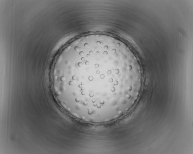 X0000115650978200911101113
