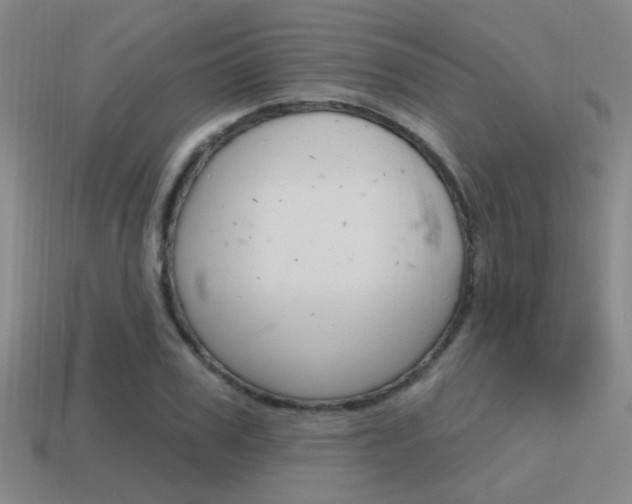 X0000115650979200911101113