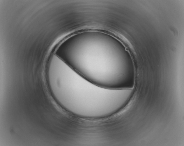 X0000115650981200911101113