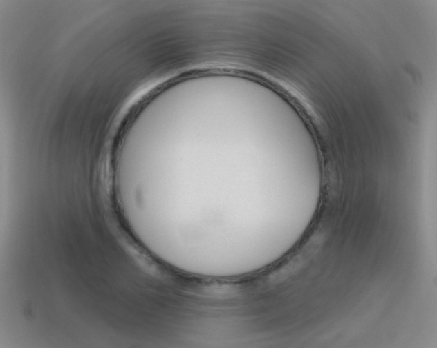X0000115650982200911101113