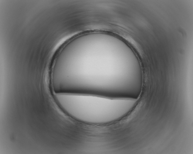 X0000115650983200911101113