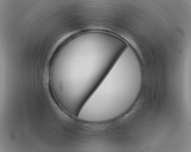 X0000115650984200911101113