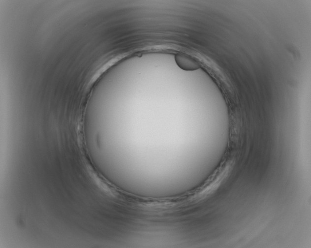 X0000115650985200911101113