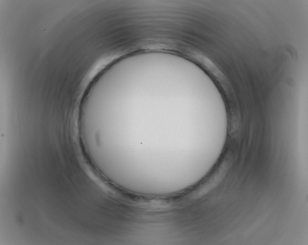 X0000115650986200911101113
