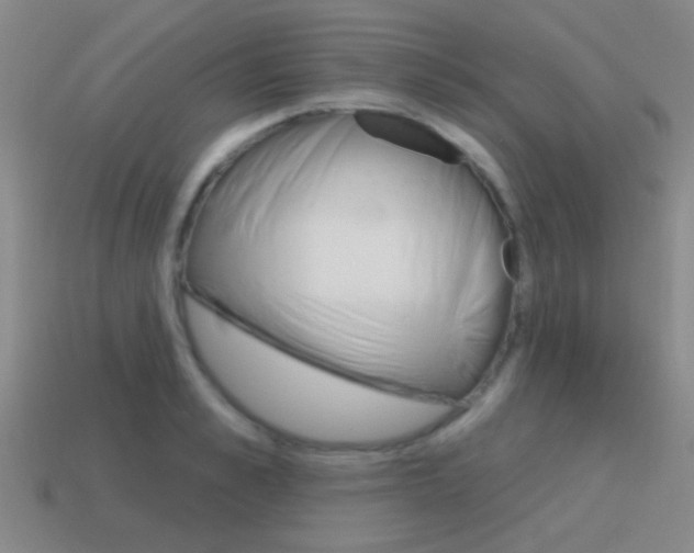 X0000115650989200911101113