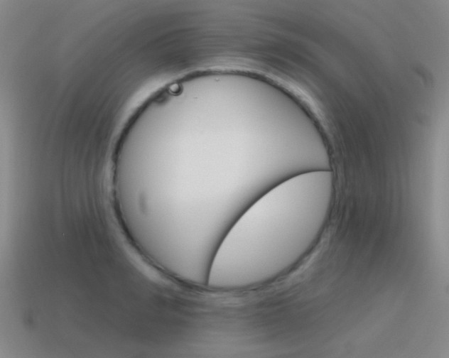 X0000115650990200911101113