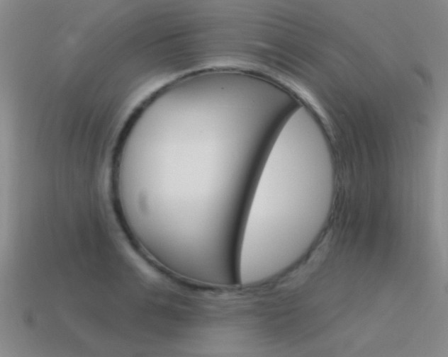 X0000115650991200911101113