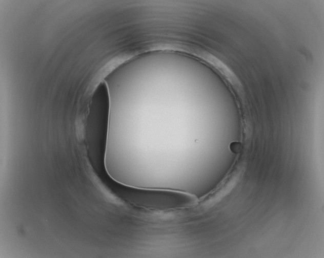 X0000115650993200911101112