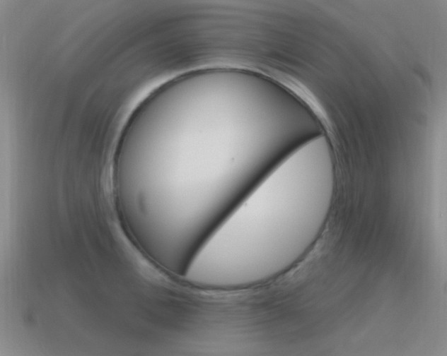 X0000115650996200911101112