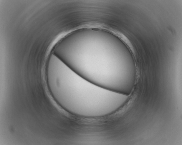 X0000115650997200911101112