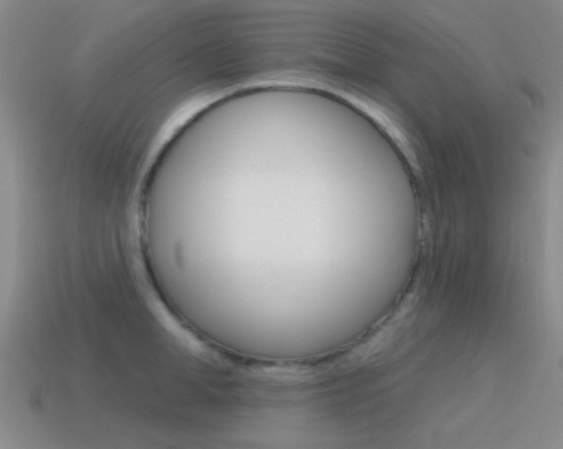 X0000115650998200911101112