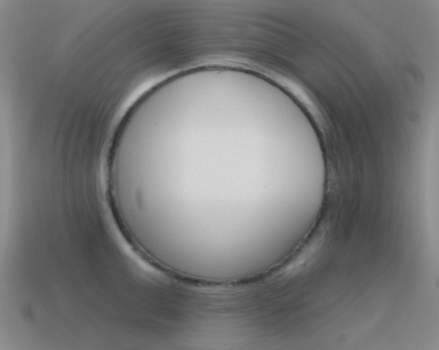 X0000115650999200911101112
