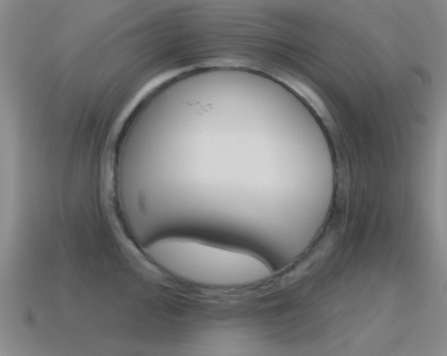 X0000115651000200911101112