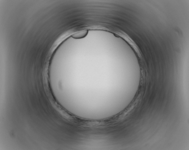 X0000115651002200911101112