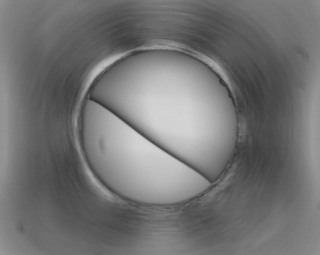 X0000115651003200911101112