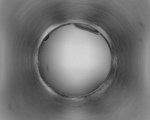 X0000115651005200911101112