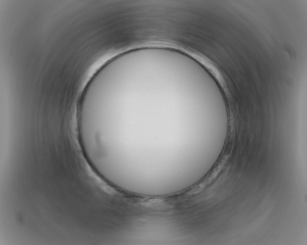 X0000115651006200911101112