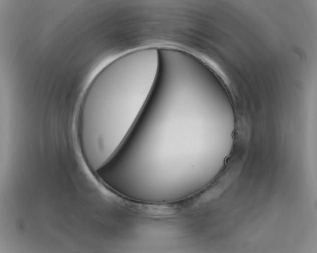 X0000115651007200911101112