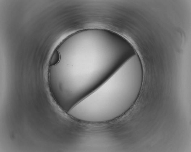 X0000115651008200911101112