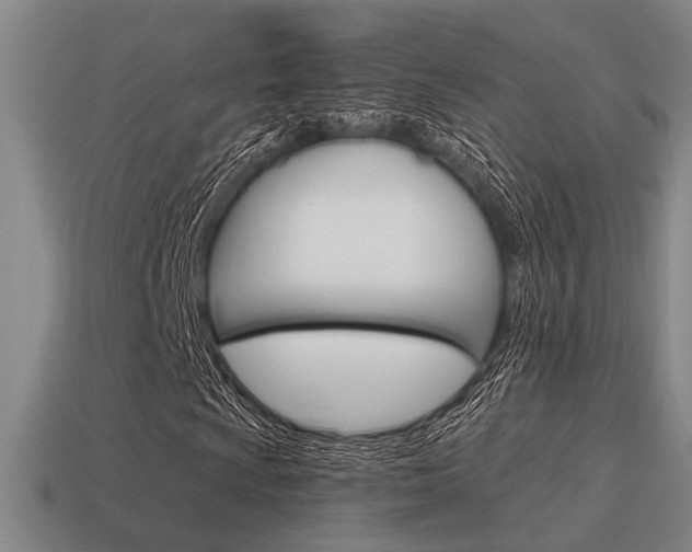 X0000115651009200911101112