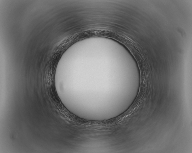 X0000115651014200911101112
